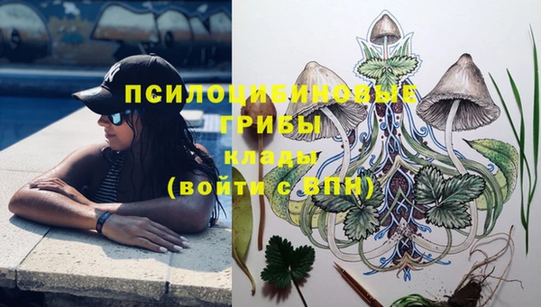 дмт Богородицк