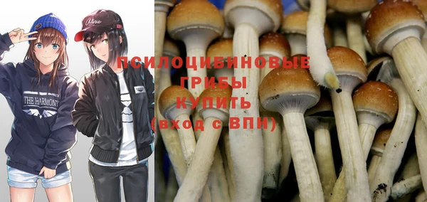 кокаин премиум Белокуриха